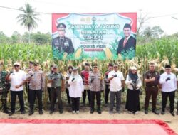 Wakapolda Aceh Panen Raya Jagung Tahap I secara Serentak di Kabupaten Pidie