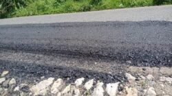 Jalan provinsi yang menghubungkan kabupaten Dharmasraya, Sumatera Barat dengan Tanjung Simalidu kabupaten Tebo Provinsi Jambi