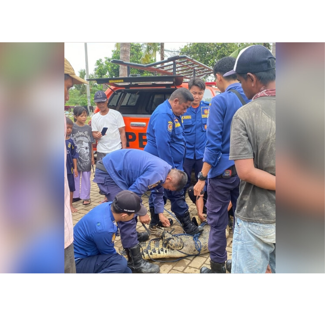 Selamat Hari Lahir 20250326 171743 0000