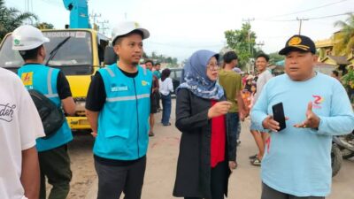 WhatsApp Image 2025 03 03 at 12.29.21