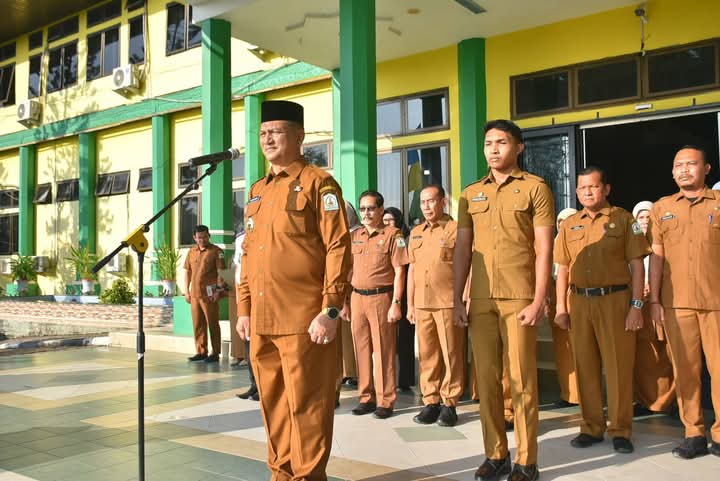 WhatsApp Image 2025 03 11 at 14.18.47