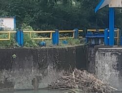 Pintu Induk Irigasi Tersumbat, Ribuan Hektare Sawah di Tangan-Tangan Terancam Gagal Tanam