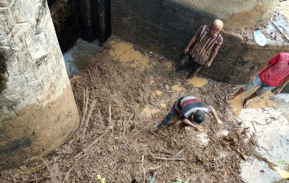 IMG 20250406 203307 e1743946673282