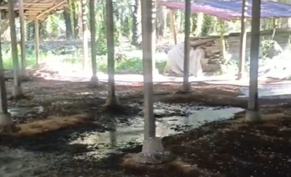 IMG 20250427 200203 e1745759514953