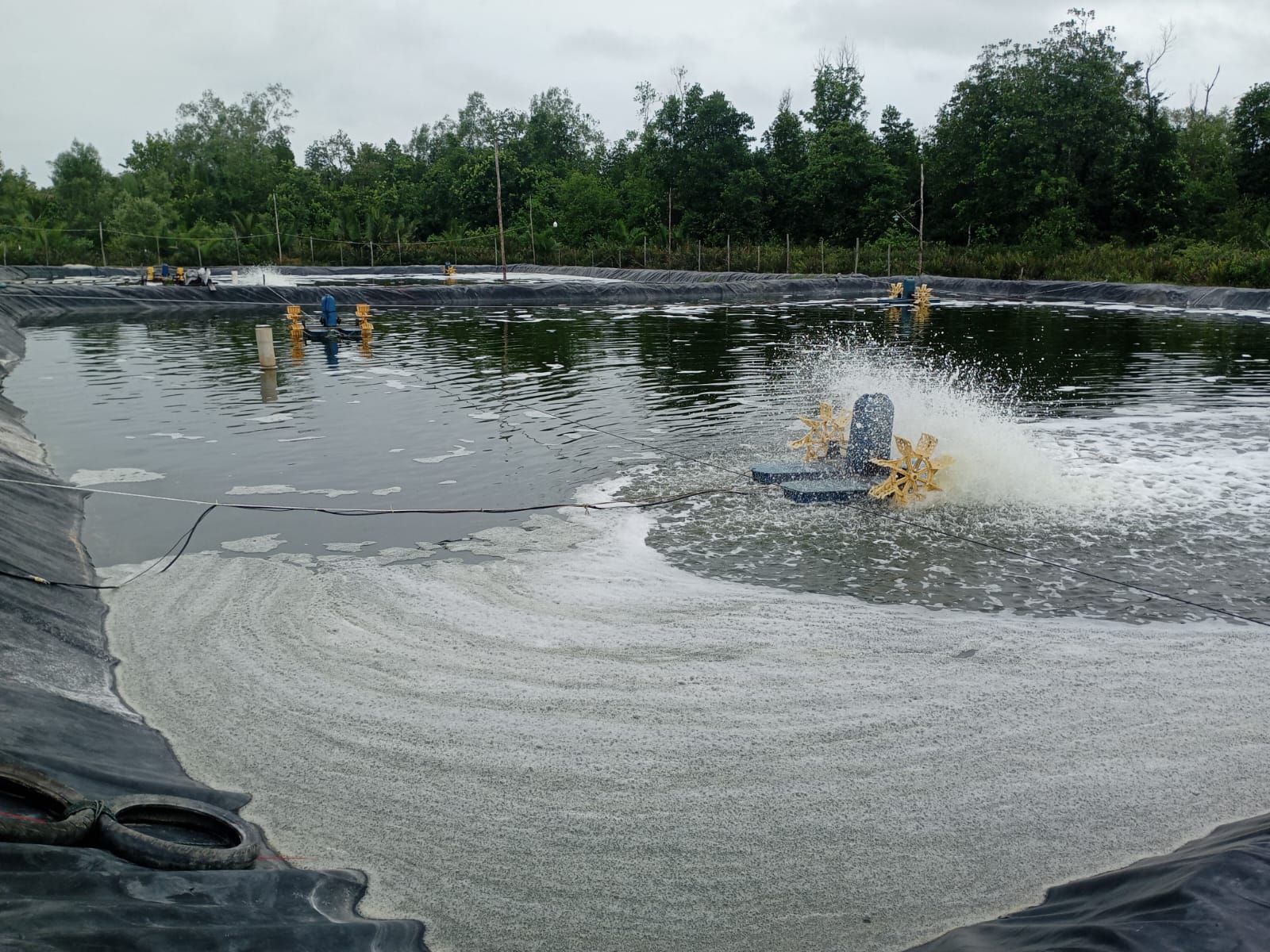 WhatsApp Image 2025 04 14 at 13.16.30