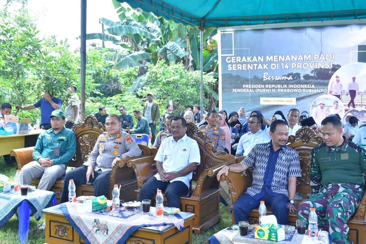 WhatsApp Image 2025 04 23 at 15.16.25