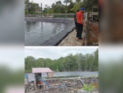 DKP Lingga Temukan Tambak Udang Vaname Belum Penuhi Izin dan Standar Lingkungan