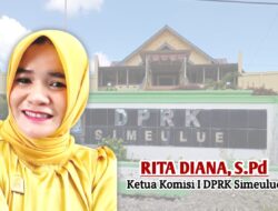 Kritik Juknis Honor dan Jam Kerja Tanaga Non ASN, Komisi I DPRK Simeulue Minta Pemda Kajian Ulang