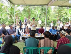 Peduli Warga Terdampak, Bupati Lampung Selatan Bantu Perbaikan Rumah Roboh