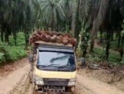 Yayasan Lajnah Khairiyah Musytarakah Diduga Tak Bayar Pajak