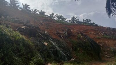 Yayasan Lajnah Khairiyah Musytarakah Beringin Sakti
