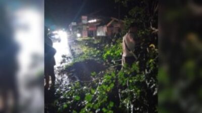 Pemkab Dharmasraya Gerak Cepat Bersihkan Dampak Angin Kencang, Pelayanan di RSUD Tetap Berjalan Normal 2 Angin Kencang Landa Kabupaten Dharmasraya. (Foto: Diskominfo Dharmasraya)