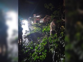 Pemkab Dharmasraya Gerak Cepat Bersihkan Dampak Angin Kencang, Pelayanan di RSUD Tetap Berjalan Normal 1 Angin Kencang Landa Kabupaten Dharmasraya. (Foto: Diskominfo Dharmasraya)