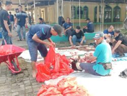 Kejari Jakpus Salurkan 13 Ekor Sapi Kurban ke Sejumlah Lembaga dan Yayasan Sosial