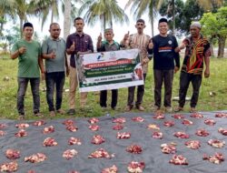 200 Kantong Daging Qurban Disalurkan ke Masyarakat Pesisir Kuala Meuraksa, Lhokseumawe