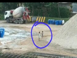 IMG 20250611 WA0263 copy 640x480