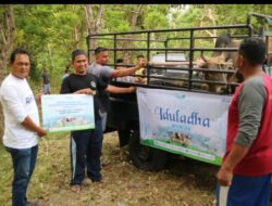 Rayakan Hari Raya Qurban, PT Pelindo Serahkan Bantuan Hewan Qurban di Aceh Besar