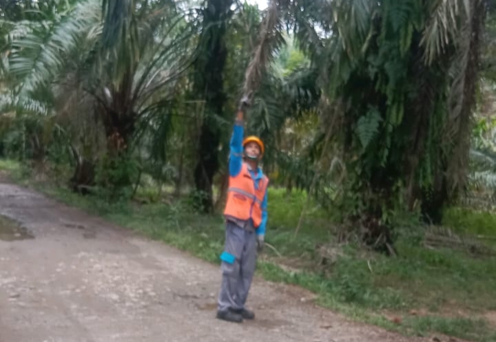 IMG 20250618 012724