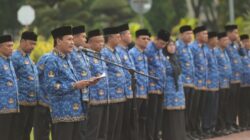 Gubernur Aceh Serahkan SK Pengangkatan 618 CASN Tahun 2024 5 pemerintah aceh