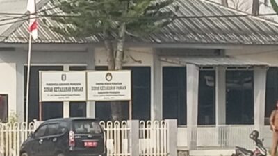 1753484578835 copy 640x480