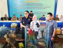 Sembilan Hewan Impor Ilegal Diserahkan Bea Cukai Langsa ke BKSDA Aceh