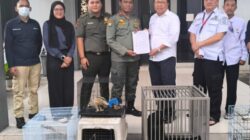 Screenshot 2025 0730 155428