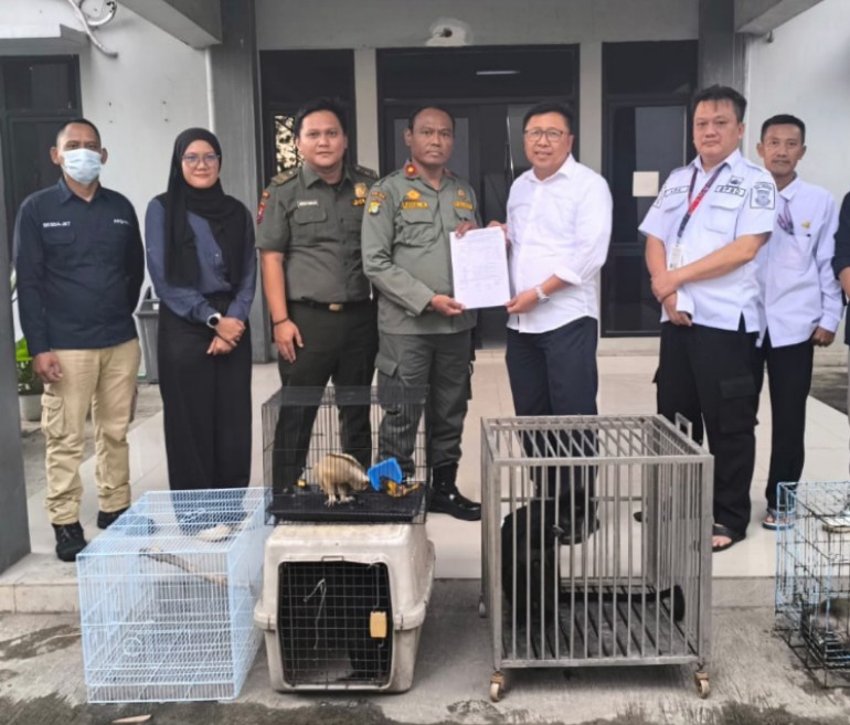 Screenshot 2025 0730 155428