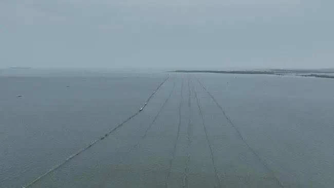 Pengadilan Tolak Gugatan Warga Kohod Terkait Pagar Laut 1 11678f39064bd9b