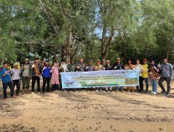 YSLI Pelepasliaran 1222 Ekor Tukik Tuntong Laut