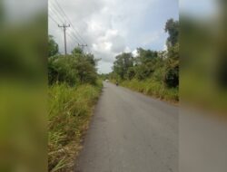 Jalur Menuju Singkep Barat Dipenuhi Rumput Liar, Warga Minta Pemerintah Segera Bertindak