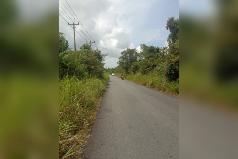 Jalur Menuju Singkep Barat Dipenuhi Rumput Liar, Warga Minta Pemerintah Segera Bertindak 1 WhatsApp Image 2025 08 02 at 10.36.33
