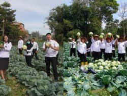 Panen Kol di Rutan Kabanjahe, Bukti Keberhasilan Program Pembinaan Kemandirian
