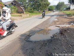 Sering Diperbaiki, Jalan Sukoharjo Rusak Lagi, PUPR Provinsi Lampung Diduga Kerjakan Asal-asalan
