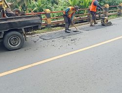 Jalan Lintas Barat Tanggamus Provinsi Lampung: Tambal Sulam Abadi dan Drama Jalanan Tak Pernah Tamat