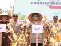 Kapolda Panen 24,5 Ton Jagung pada Kuartal III di Aceh Jaya
