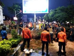 Pohon Tumbang Timpa Dua Mobil, Wali Kota Langsa dan Kapolres Turun Langsung