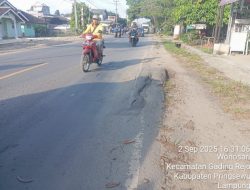 Rusak Lagi! Jalan Provinsi Gadingrejo-Pringsewu Diperbaiki Berulang Kali tapi Hasilnya Tak Bertahan Lama