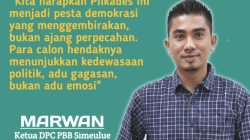 Ketua DPC PBB Simeulue, Marwan. (Foto: ist)