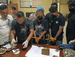 Residivis di Bumiayu Diringkus Satresnarkoba, 607 Gram Ganja Diamankan