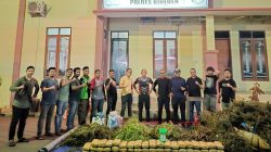 WhatsApp Image 2025 10 11 at 09.13.07