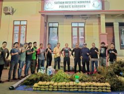 Polres Bireuen Ungkap Kasus Narkotika, Amankan Satu Pelaku dan 154 Kg Ganja