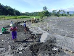 Banjir Bandang Hantam Brebes, Sawah Petani Berubah Jadi Sungai