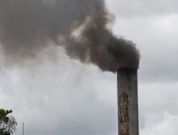 Pemerintah Diminta Segera Tutup PT Panca Kraft Pratama yang Semburkan Asap Pekat ke Pemukiman Warga