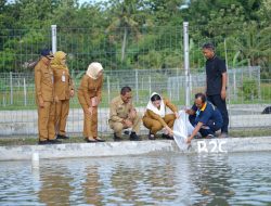 Produktivitas Melonjak, BBI Malahayu Diproyeksikan Dukung Ketahanan Pangan dan Program MBG
