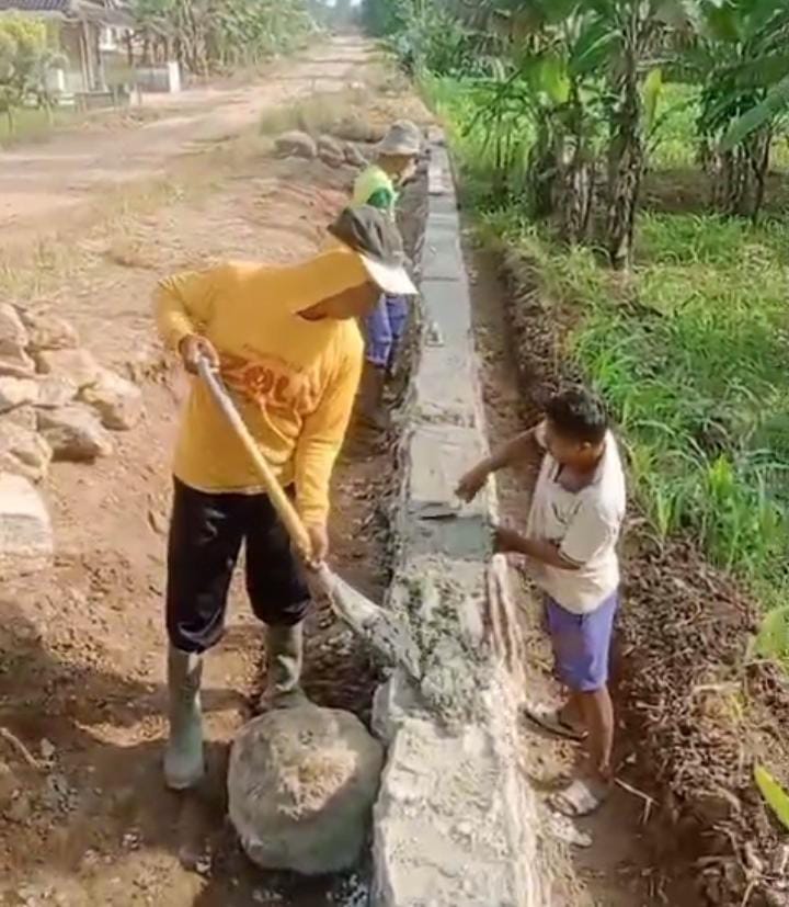 IMG 20260227 WA00161