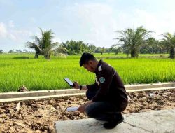 Dukung Pemulihan Lingkungan, Dosen Prodi Pendidikan Geografi Unsam Petakan Tutupan Lahan di Manyak Payed