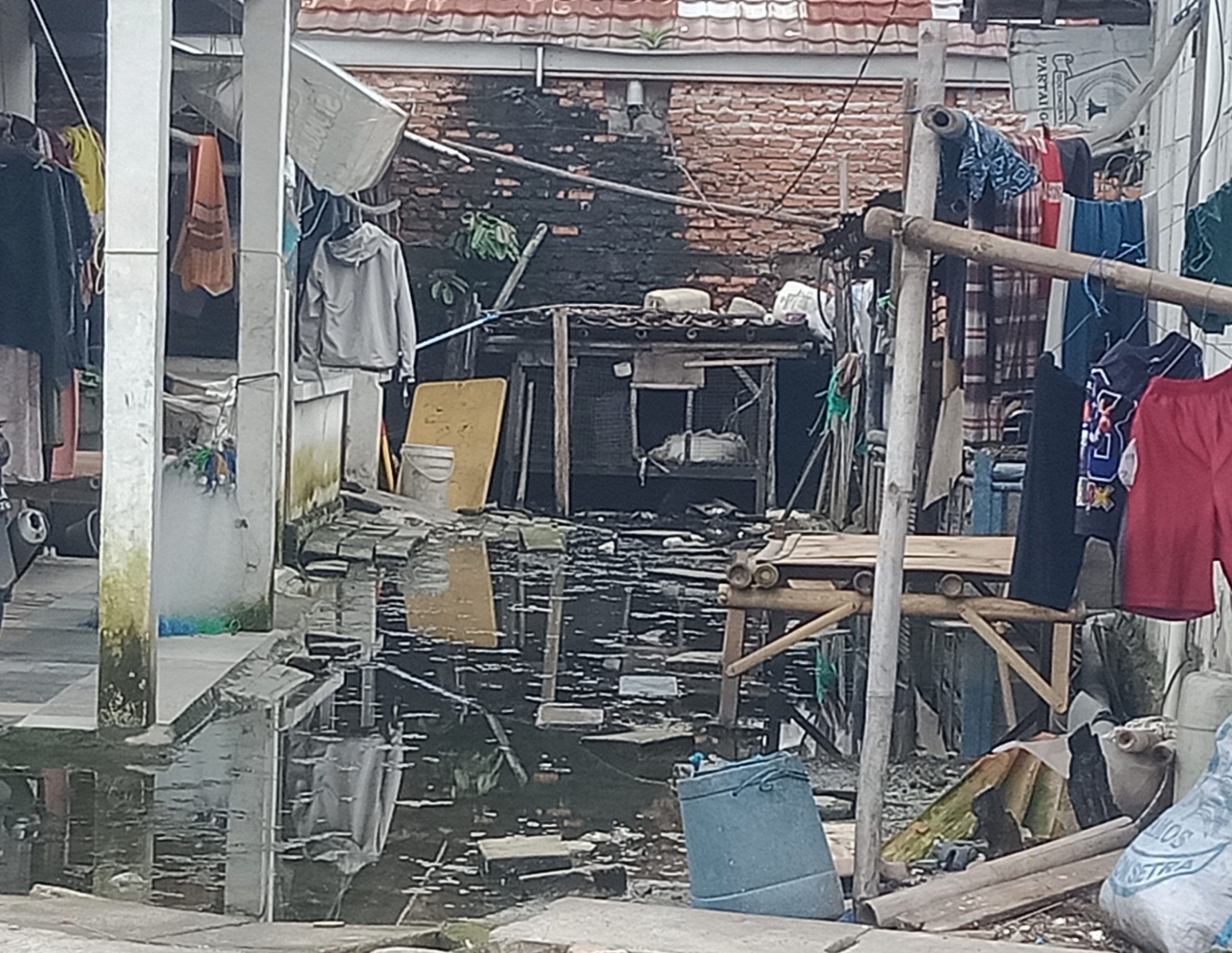 IMG 20260214 001920 scaled