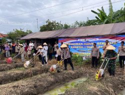 Polri dan Pemkab Brebes Kolaborasi, Tanam Jagung Serentak di Wangandalem, Dukung Swasembada Pangan 