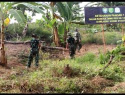 Lahan Tidur Kini Produktif Disulap Satgas TMMD Ke-128 Kodim 0104/Atim