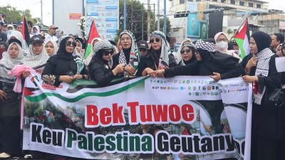 WhatsApp Image 2026 04 03 at 21.58.24